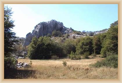 Prezidpass