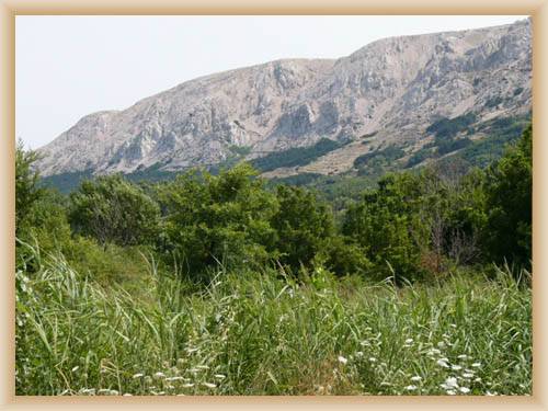 Island Krk - Mountain