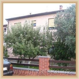 Apartments NOVAK