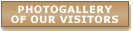 Gallery of our visitors