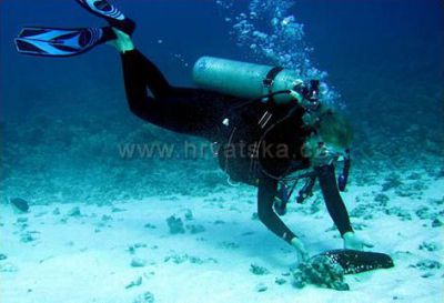 Apartments VILA BOŽICA