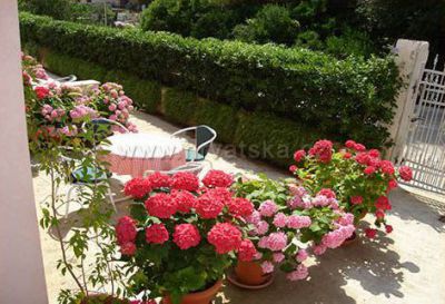 Apartments VILA BOŽICA