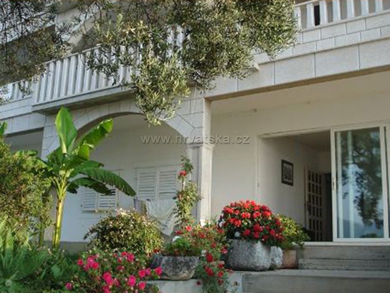 Apartments RUZICA