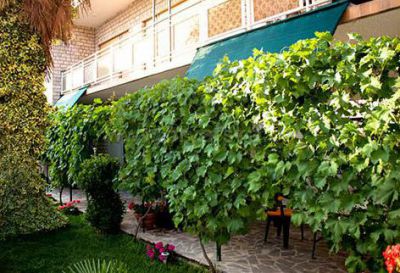 Apartments Zorka