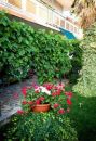 Apartments Zorka