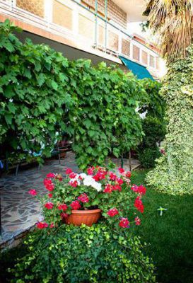 Apartments Zorka