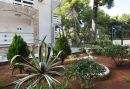 Apartments Tamar