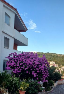 Apartments Lucija