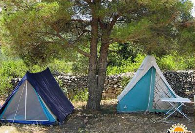 Camping Arboretum