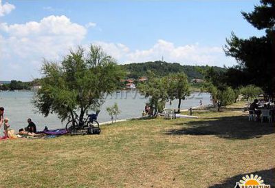 Camping Arboretum