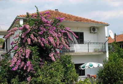 Adriatic Apartment Ćudina