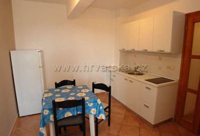 Apartments Mandre Damir