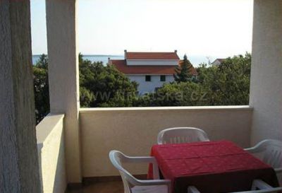 Apartments Mandre Damir