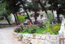 Apartments DARIJA