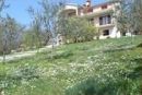 Apartments NELA