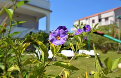 Apartments Frane & Ivanka Gabrić