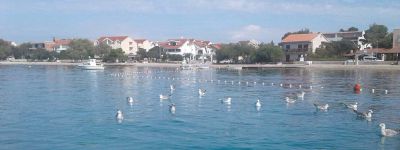 Apartments Lušić Srima - Vodice