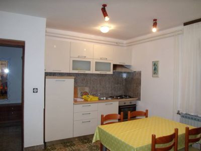 Apartments Boroš Novigrad