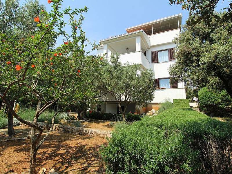 Apartments Salvia Mandre