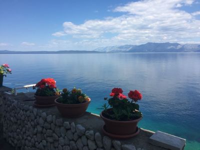 Vacation Home Tea With Beach TRPANJ