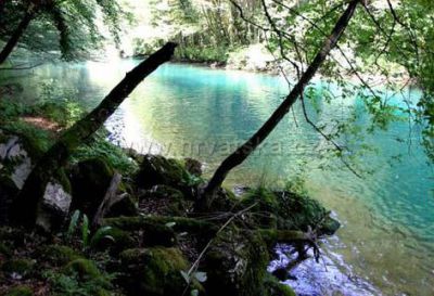 Robinson camp VRELA MREŽNICE