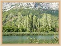 River Cetina