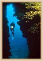 Islands Kornati - Under the sea
