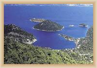 Island  Mljet - Prozura