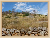 Island Hvar